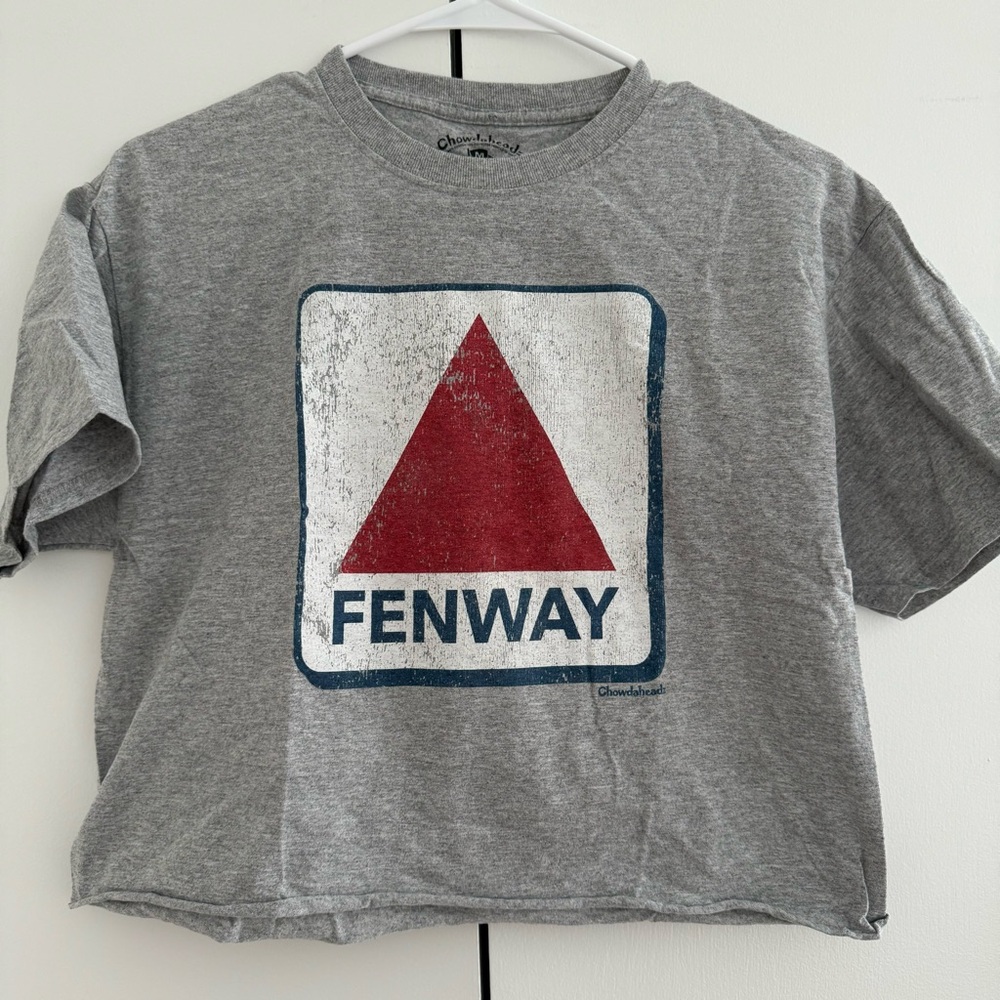 Gray Fenway T-Shirt